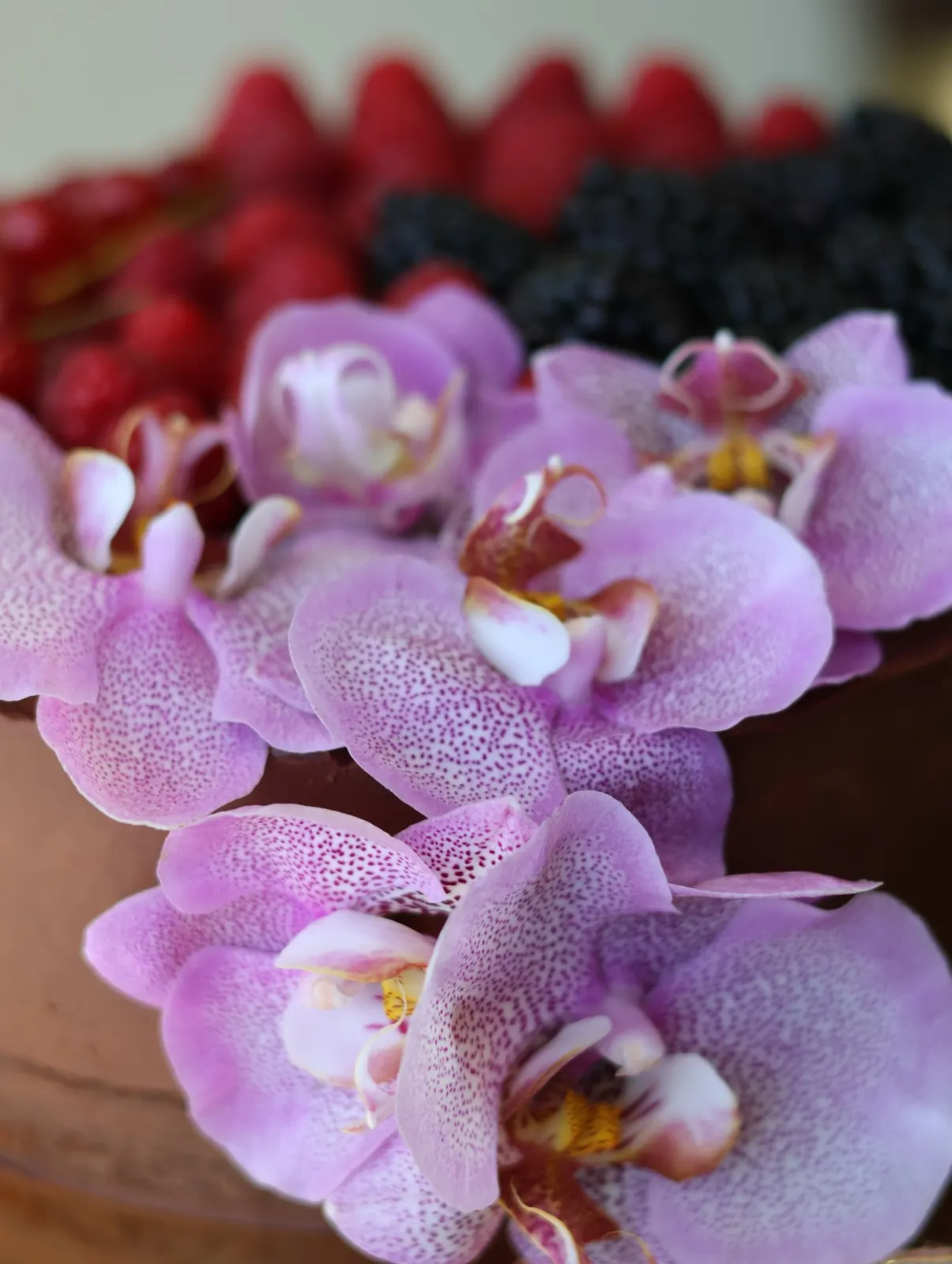 Pormenor de orquídeas cor-de-rosa sobre bolo de chocolate